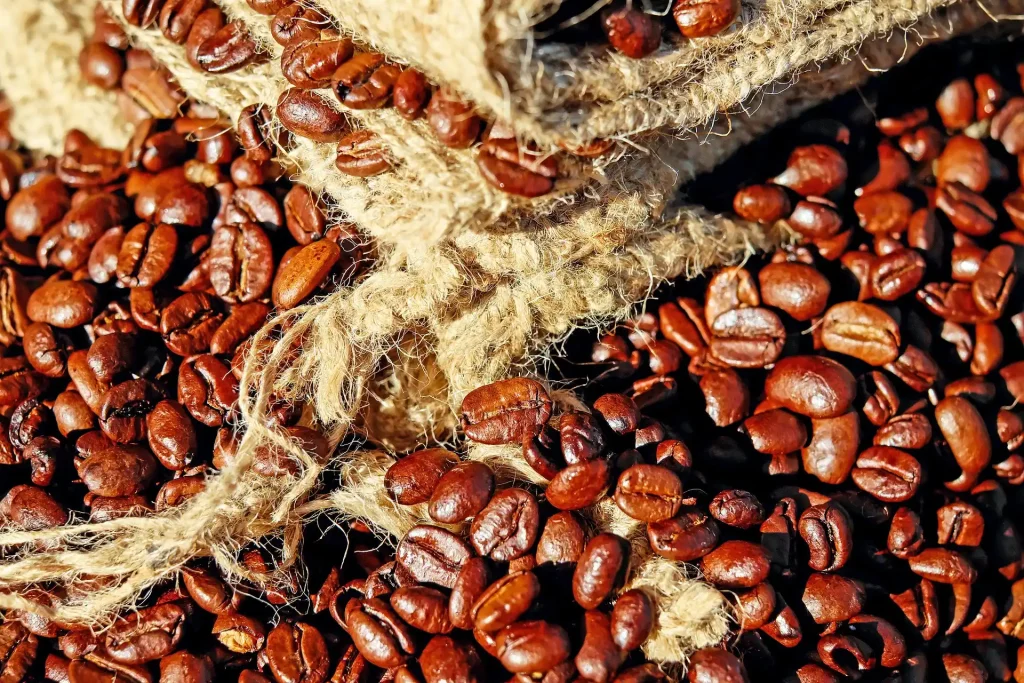 Coffee Port - Guji