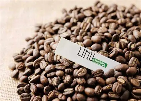 Coffee Port - Limu Coffee Ethiopia