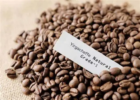 Coffee Port - Yirgacheffe 1