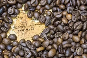 Coffee Culture of Ethiopia: Why Cafés in Addis Ababa? - Cc Ethipia