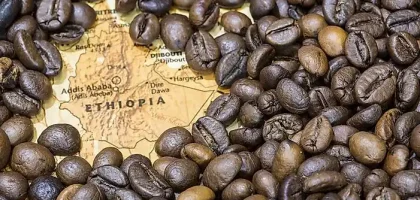 Coffee Culture of Ethiopia: Why Cafés in Addis Ababa? - Cc Ethipia