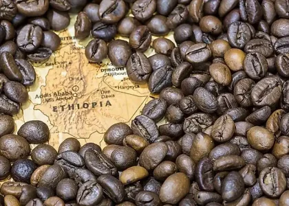 Coffee Culture of Ethiopia: Why Cafés in Addis Ababa? - Cc Ethipia